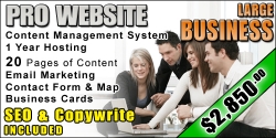 web-design-large-business-package
